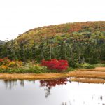 千沼ヶ原～乳頭山　2024年10月05日